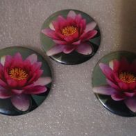 3 Lotusblumen Buttons / Pins / Anstecker Seerose