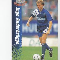Panini Cards Fussball 1995 Ingo Anderbrügge FC Schalke 04 Nr 165