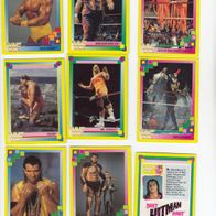 Merlin Collection WWF Wresling Cards 1993 Bild 1 - 192 Sie bieten auf ein Bild