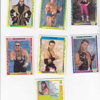 Merlin Collection WWF Wresling Cards 1995 Bild 1 - 180 Sie bieten auf ein Bild
