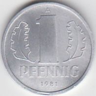DDR 1 Pfennig 1981 A aus dem Umlauf