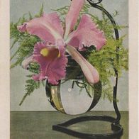 Deutschland Anhalt AK Orchidee in Vase Künstlerkarte Ansichtskarte Postkarte