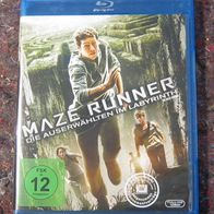 Blu-Ray - Maze Runner - Die Auserwählten im Labyrinth