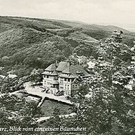 06485 Gernrode im Harz Blick vom einzelnen Bäumchen Panorama 1958