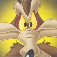WILE E. COYOTE Special !! * * Roadrunner * * DVD * *