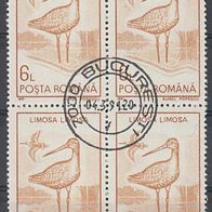 BM109) Rumänien Mi. Nr. 4650 Viererblock o, Uferschnepfe