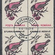 BM120) Rumänien Mi. Nr. 4884 Viererblock o, Rosenstar