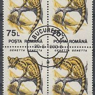 BM127) Rumänien Mi. Nr. 4907 Viererblock o, Ginsterkatze