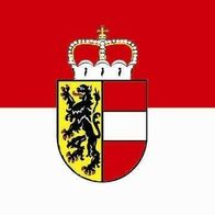 U24 Fahne Flagge Salzburg 90 X 150 Cm - 100% Polyester, Wetterfest & Mit 2 Metallösen