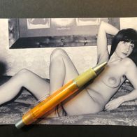 SW Aktfoto, Erotik Nude Akt Sex nackte Frau, ca.13 x 17 - beauty e