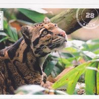 Mit 180 Sticker um die Welt. WWF Sticker Nr.28 Asien