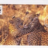 Mit 180 Sticker um die Welt. WWF Sticker Nr.79 Afrika