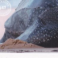 Mit 180 Sticker um die Welt. WWF Sticker Nr.147 Südamerika