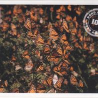 Mit 180 Sticker um die Welt. WWF Sticker Nr.102 Nord Amerika