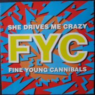 Fine Young Cannibals - she drives me crazy - Maxi Single - 1988