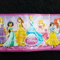 Ü- Ei Beipackzettel Disney Prinzessin FT 143