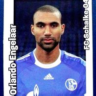 Fußball Bundesliga - 2008/2009, FC Schalke 04 - Orlando Engelaar