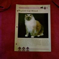 Ragdoll Seal Mitted - Infokarte über