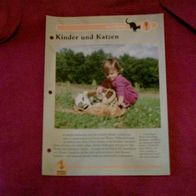 Kinder und Katzen - Infokarte über