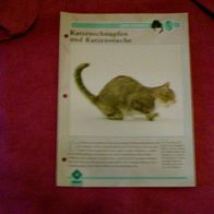 Katzenschnupfen und Katzenseuche - Infokarte über