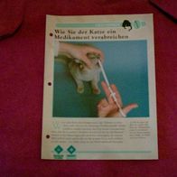 Wie Sie der Katze ein Medikament verabreichen - Infokarte über