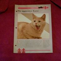 Die aggressive Katze - Infokarte über