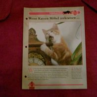 Wenn Katzen Möbel zerkratzen - Infokarte über