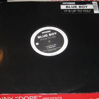 Blue Boy - It´s Up To You ´´ 12" UK House 1996
