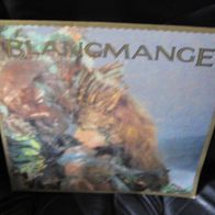 Blancmange Waves Vinyl, 12", UK 1983 near mint !!