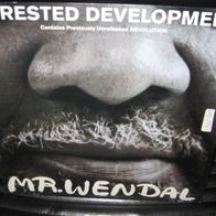 Arrested Development - Mr. Wendal 12" UK 1992