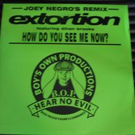 Extortion - How Do You See Me Now? (Joey Negro´s Remix) 1991