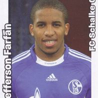 Schalke 04 Panini Sammelbild 2008 Jefferson Farfan Bildnummer 433