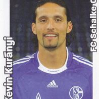 Schalke 04 Panini Sammelbild 2008 Kevin Kuranyi Bildnummer 434
