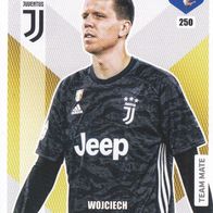 Panini Trading Card Fifa 365 Wojciech Szczesny von Juventus Turin Nr.250 Team Mate