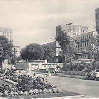 alte AK Le Havre - Le Jardin de l´Hôtel de Ville (2693)