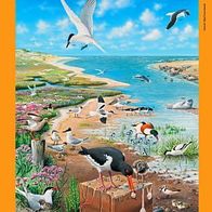 Wir erhalten Lebensräume: Im Wattenmeer - PLAKAT / Poster