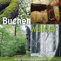 Buchenwälder - Unser nationales Naturerbe - POSTER / Plakat