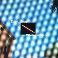 David Gray - White ladder