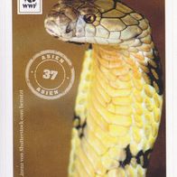 Mit 180 Sticker um die Welt. WWF Sticker Nr.37 Asien