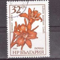 Bulgarien Michel Nr. 3491 gestempelt (2)