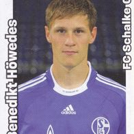 Schalke 04 Panini Sammelbild 2008 Benedikt Höwedes Bildnummer 419