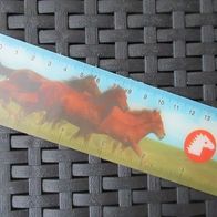 NEU: 3D Lineal 15 cm Lesezeichen Lentikular Wackel Bild Pferde Pony Club Wechsel