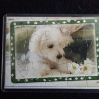 Kinder Joy Tier - Puzzle 2007 Hundebaby