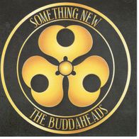 The Buddaheads (Alan Mirikitani) - Something New blues rock CD