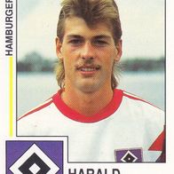 Hamburger SV Panini Sammelbild 1991 Harald Spörl Bildnummer 97