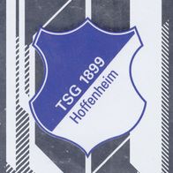 TSG Hoffenheim Topps Sammelbild 2020 Vereinslogo Bildnummer 169