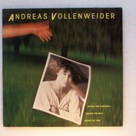 Andreas Vollenweider - Behind The Gardens..., LP - Verabra 1981