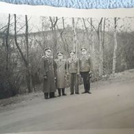 uraltes Offiziersfoto /2. Weltkrieg von 1940 / Deutsches Reich / Uniform / Halle