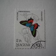 Ungarn Nr 3690 gestempelt