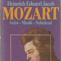 Mozart (36y)